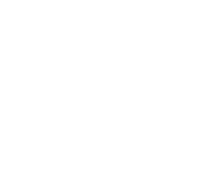 Dubai Lifestyle Experience